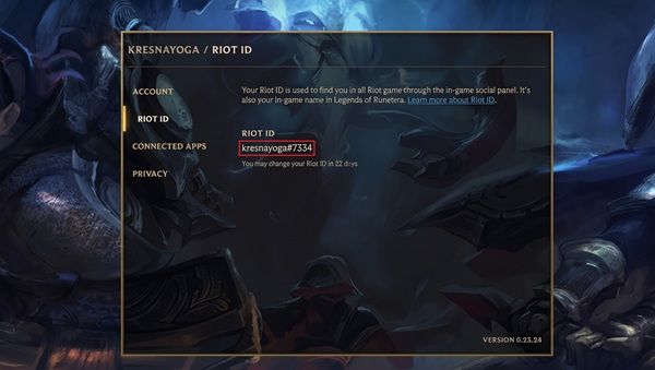 Riot ID Guide Placeholder